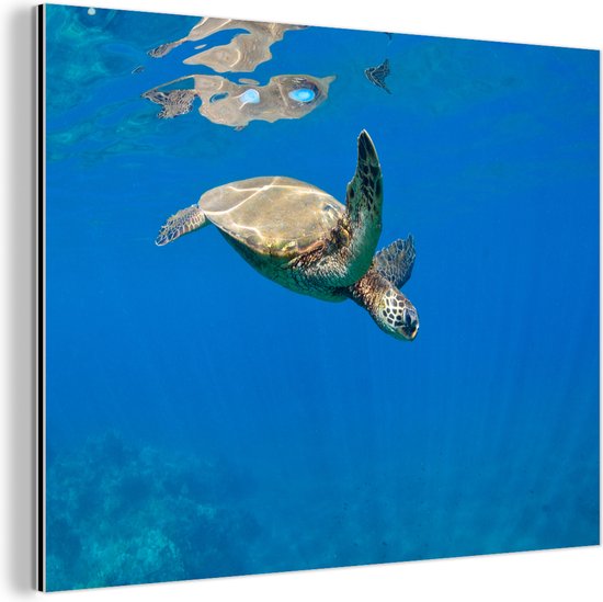 Wanddecoratie Metaal - Aluminium Schilderij - Schildpad zwemmend in oceaan
