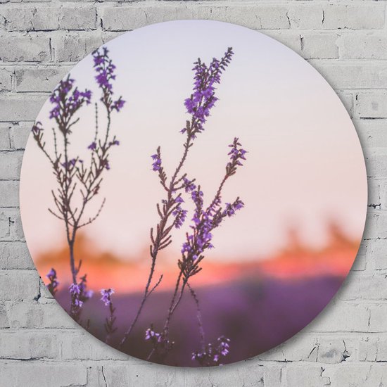 Muurcirkel lavender  - 40 cm Aluminium Muurcirkel - Landschappen - Wanddecoratie - Rond Schilderij - Wandcirkel