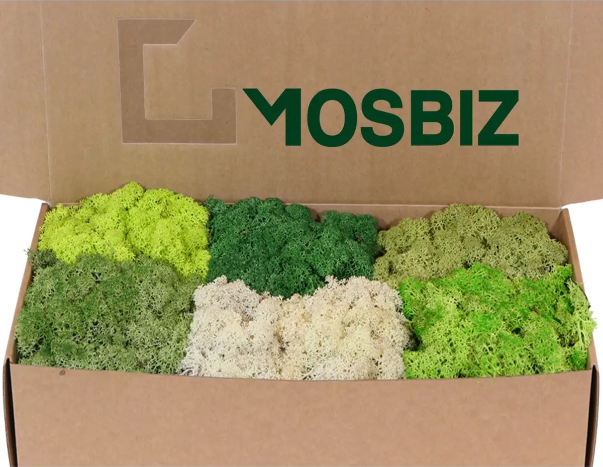 MosBiz Rendiermos Assortiment 500 gram voor decoraties, modelbouw en bloemstukjes - MosBiz