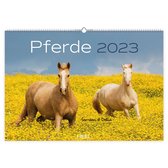 Paarden Kalender 2023