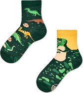 Many Mornings kids sokken the dinosaurs multi - 27-30