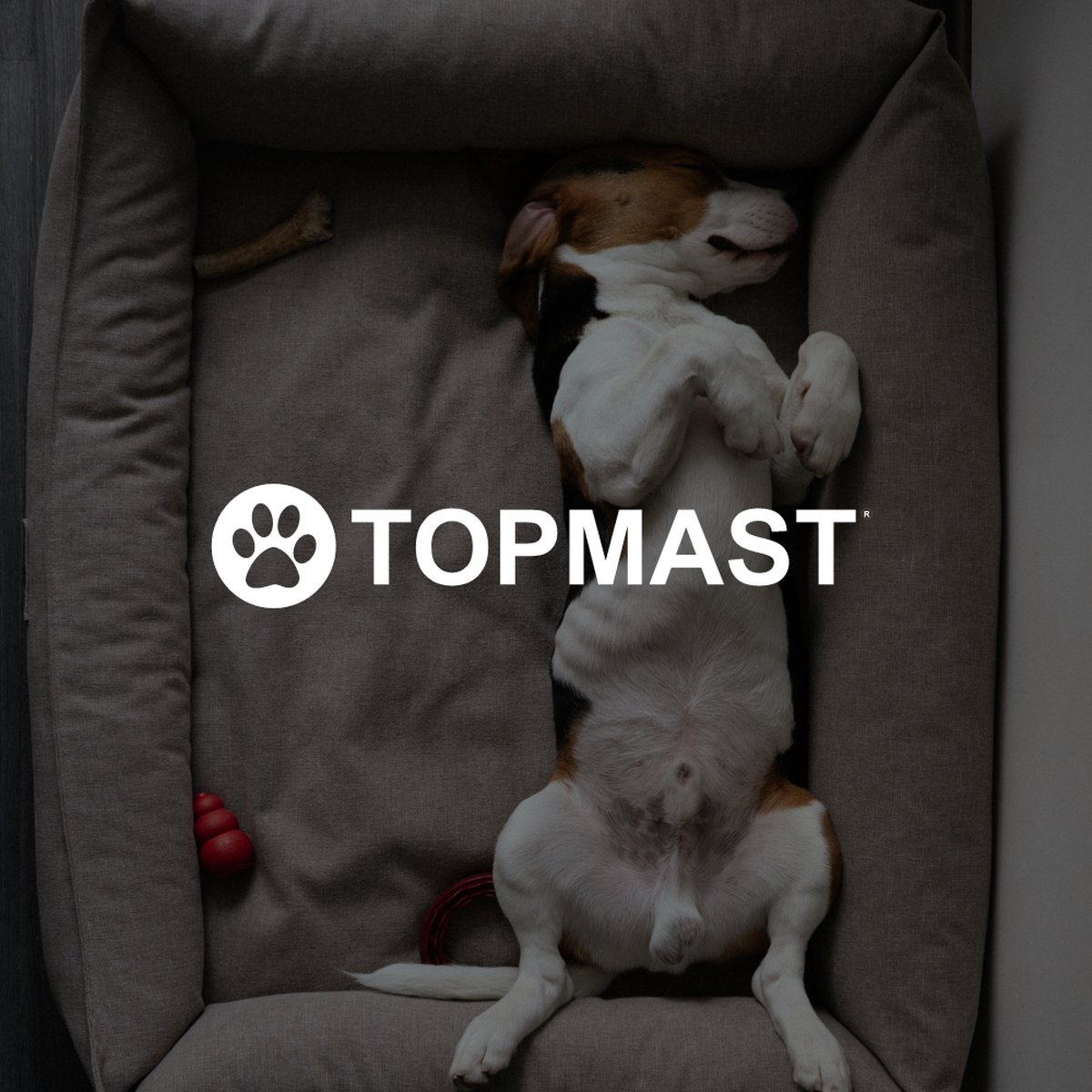 Topmast