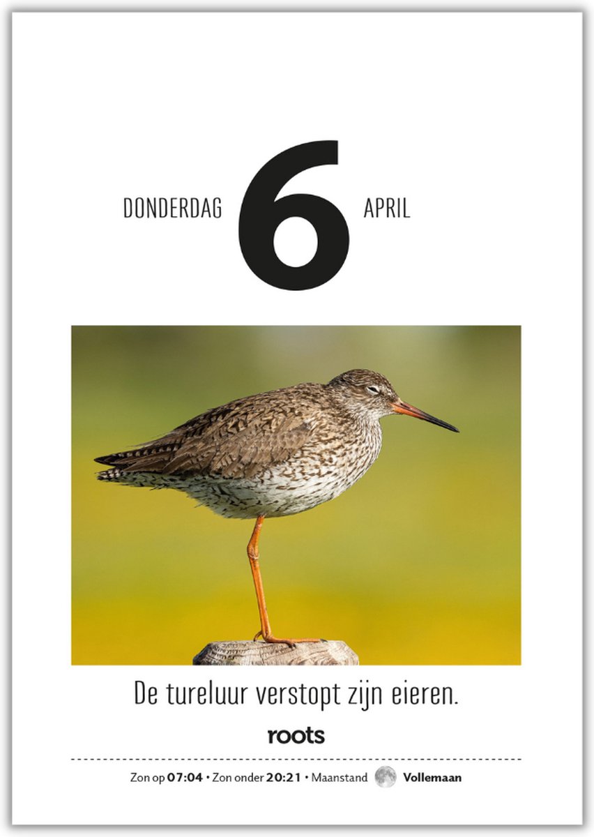 Roots Scheurkalender 2023