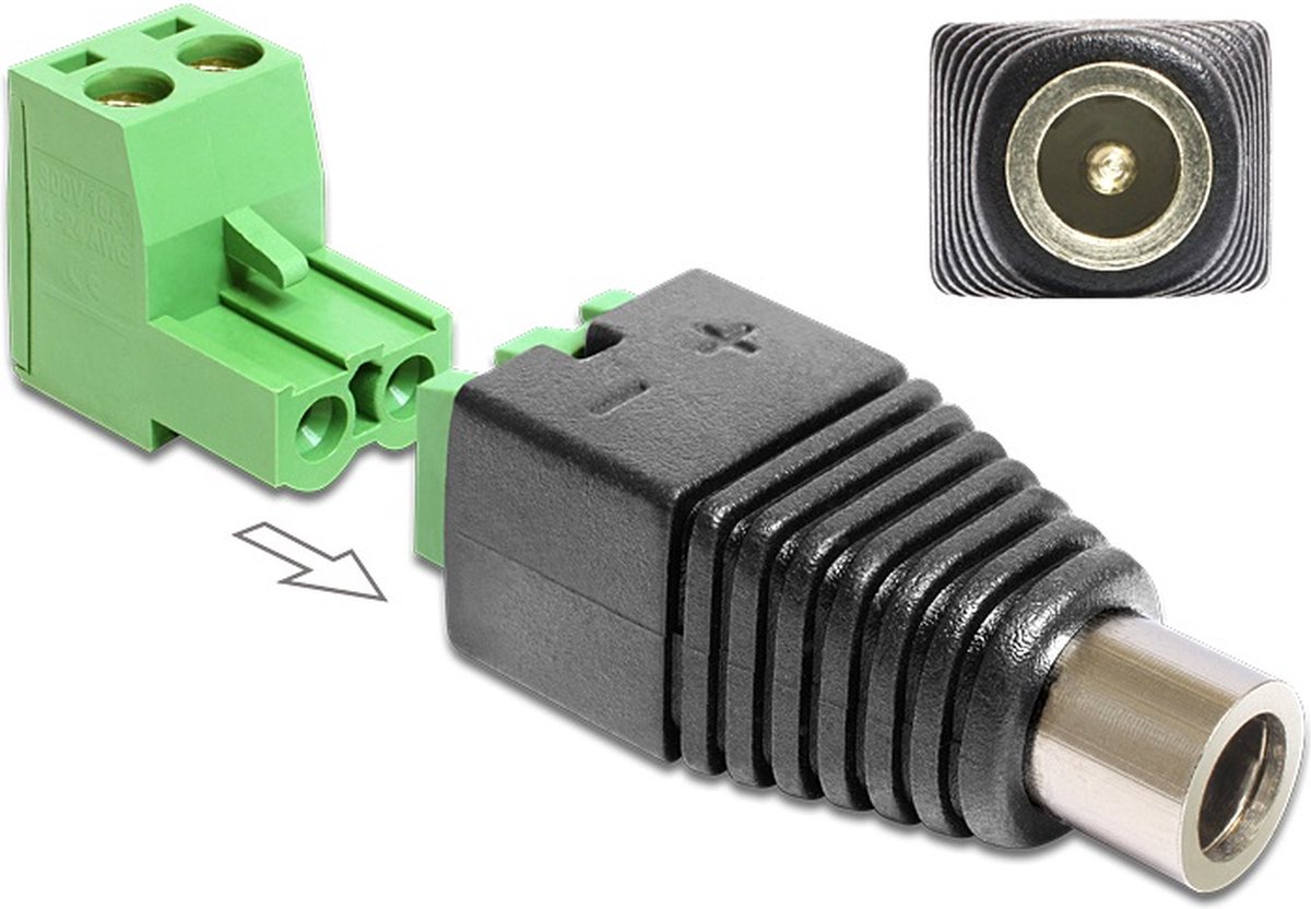 DeLOCK 65423 kabeladapter/verloopstukje DC 2.1 x 5.5 mm 2p Zwart, Groen