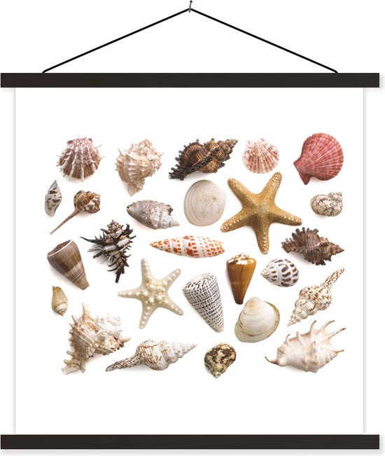 Sélection de coquillages et affiches d'école d'étoiles de mer lattes plates noir 40x40 cm - Tirage photo sur poster textielposter (décoration murale salon / chambre)
