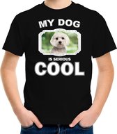 Maltezer honden t-shirt my dog is serious cool zwart - kinderen - Maltezers liefhebber cadeau shirt - kinderkleding / kleding 146/152