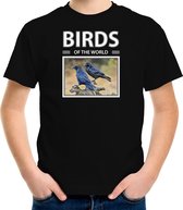 Dieren foto t-shirt Raaf vogel - zwart - kinderen - birds of the world - cadeau shirt vogel liefhebber - kinderkleding / kleding 110/116