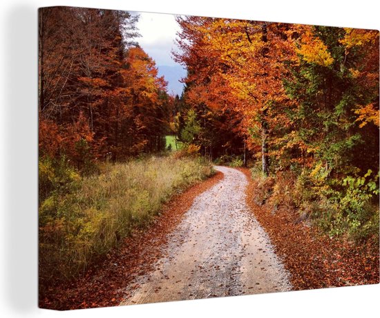 Canvas Schilderij Herfst - Herfstbladeren - Pad - Bos - Wanddecoratie