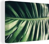 Canvas schilderij 160x120 cm - Wanddecoratie Bladeren - Tropisch - Jungle - Muurdecoratie woonkamer - Slaapkamer decoratie - Kamer accessoires - Schilderijen