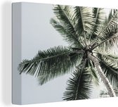 Canvas Schilderij Palmboom - Tropical - Zomer - 80x60 cm - Wanddecoratie