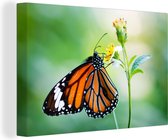 Canvas Schilderij Vlinder - Bloemen - Insecten - 30x20 cm - Wanddecoratie