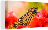 Canvas Schilderij Bloemen - Vlinders - Monarch - 80x40 cm - Wanddecoratie