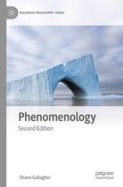 Palgrave Philosophy Today - Phenomenology