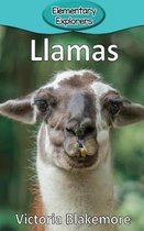 Elementary Explorers- Llamas