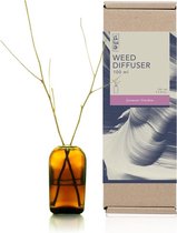 FT 506290 Diffuser 100ml Jasmine Garden