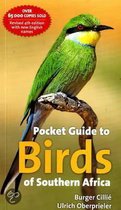 Pocket Guide to Birds of Southern Africa