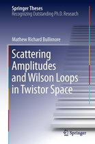Springer Theses - Scattering Amplitudes and Wilson Loops in Twistor Space