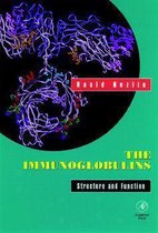 The Immunoglobulins