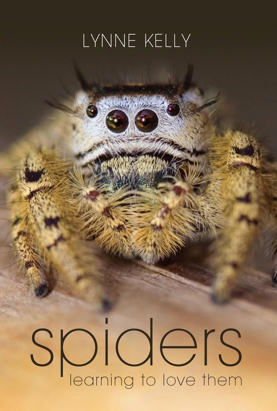 Spiders - cover