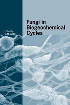 Fungi In Biogeochemical Cycles