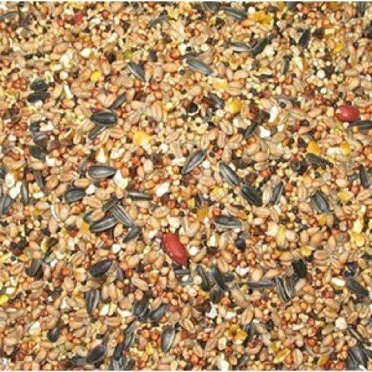 Strooivoer - Buitenvogelvoer - 5 kg