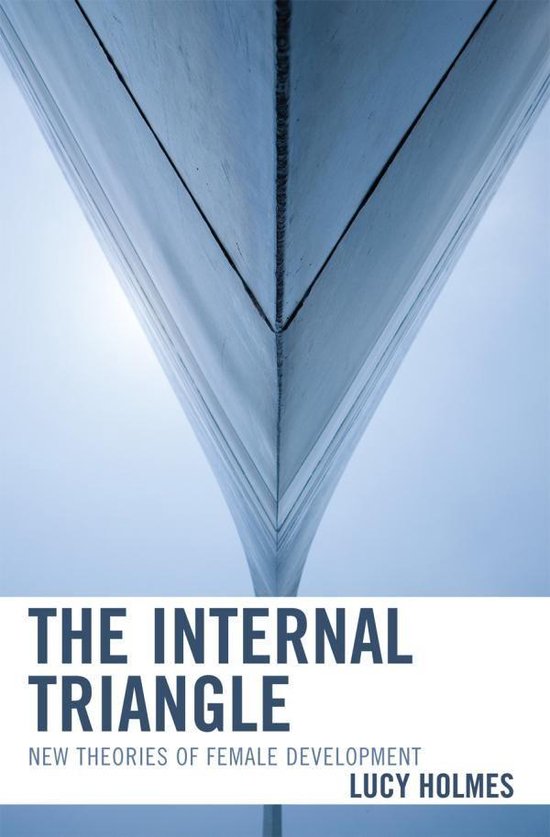 The Internal Triangle - cover