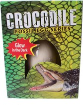 Glow In The Dark Alligator Uithak-Ei