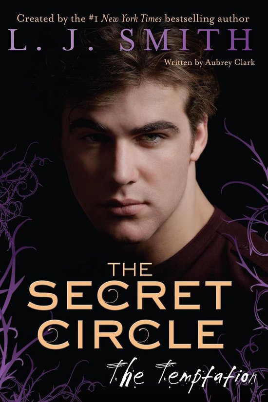 Secret Circle 6 - The Secret Circle: The Temptation - cover