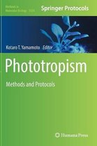 Phototropism