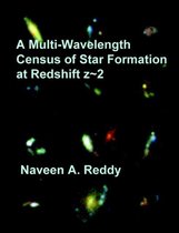 A Multi-Wavelength Census of Star Formation at Redshift Z 2