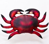 Kussen Zee - Rode Krab - Meerkleurig - Zee kussen - Groot formaat - Sierkussen - 65 cm
