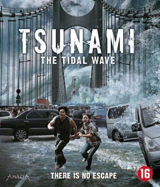Cover van de film 'Tsunami -The Tidal Wave'