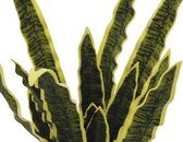 EUROPALMS Sansevieria (EVA), artificial, green-yellow, 50cm