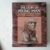 Story of Peking Man C