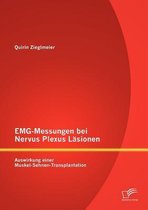 EMG-Messungen bei Nervus Plexus Läsionen: Auswirkung einer Muskel-Sehnen-Transplantation