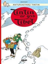 Tintin