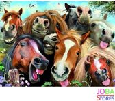 Diamond Painting "JobaStores®" Gekke Paarden - volledig - 40x30cm