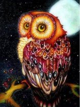 Delki® Red Owl Peinture de diamants - 17 couleurs - 30x40 - Pierres rondes