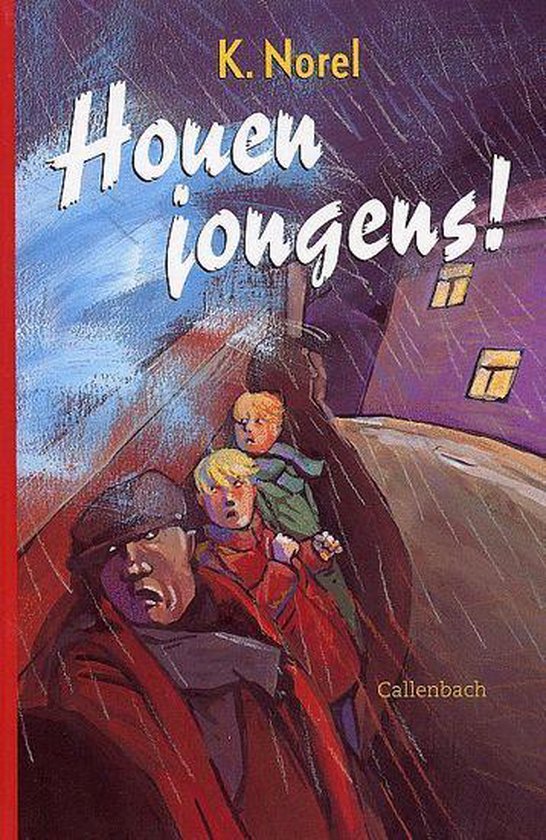 9789026611728 - Houen Jongens