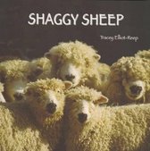 Shaggy Sheep