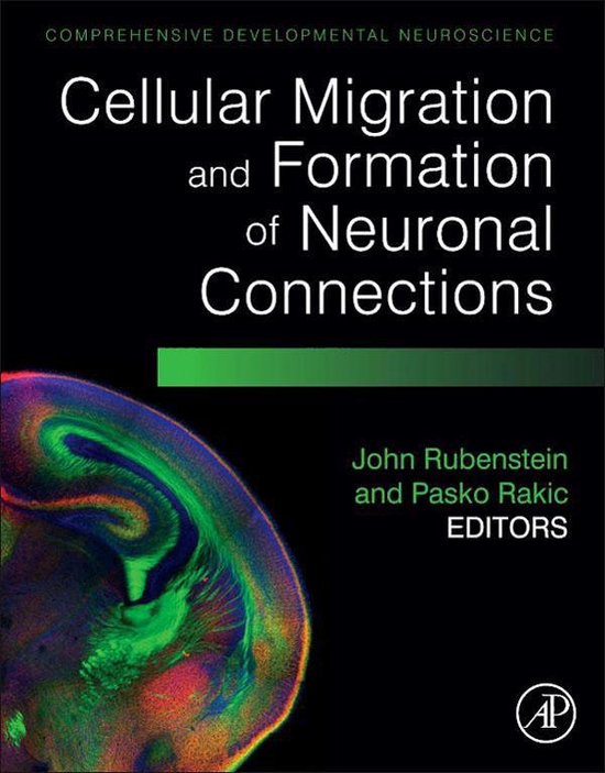 Cellular Migration and Formation of Neuronal Connections - cover