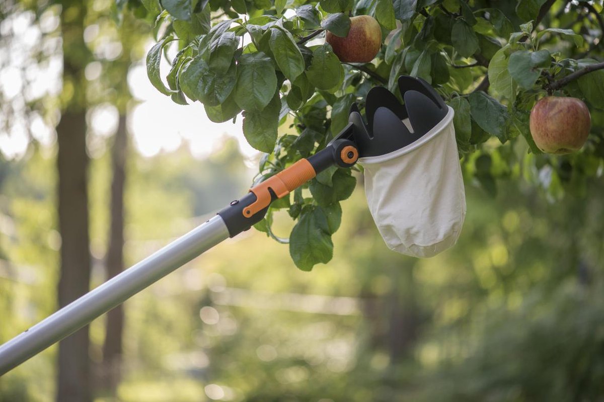 Notenverzamelaar Roller, notenverzamelaar met telescopische handgreep, fruitplukker, walnoot pick-up tool, voor thuis, huis, tuin, achtertuin voor walnoten, eikels, pecannoten, dennenappels