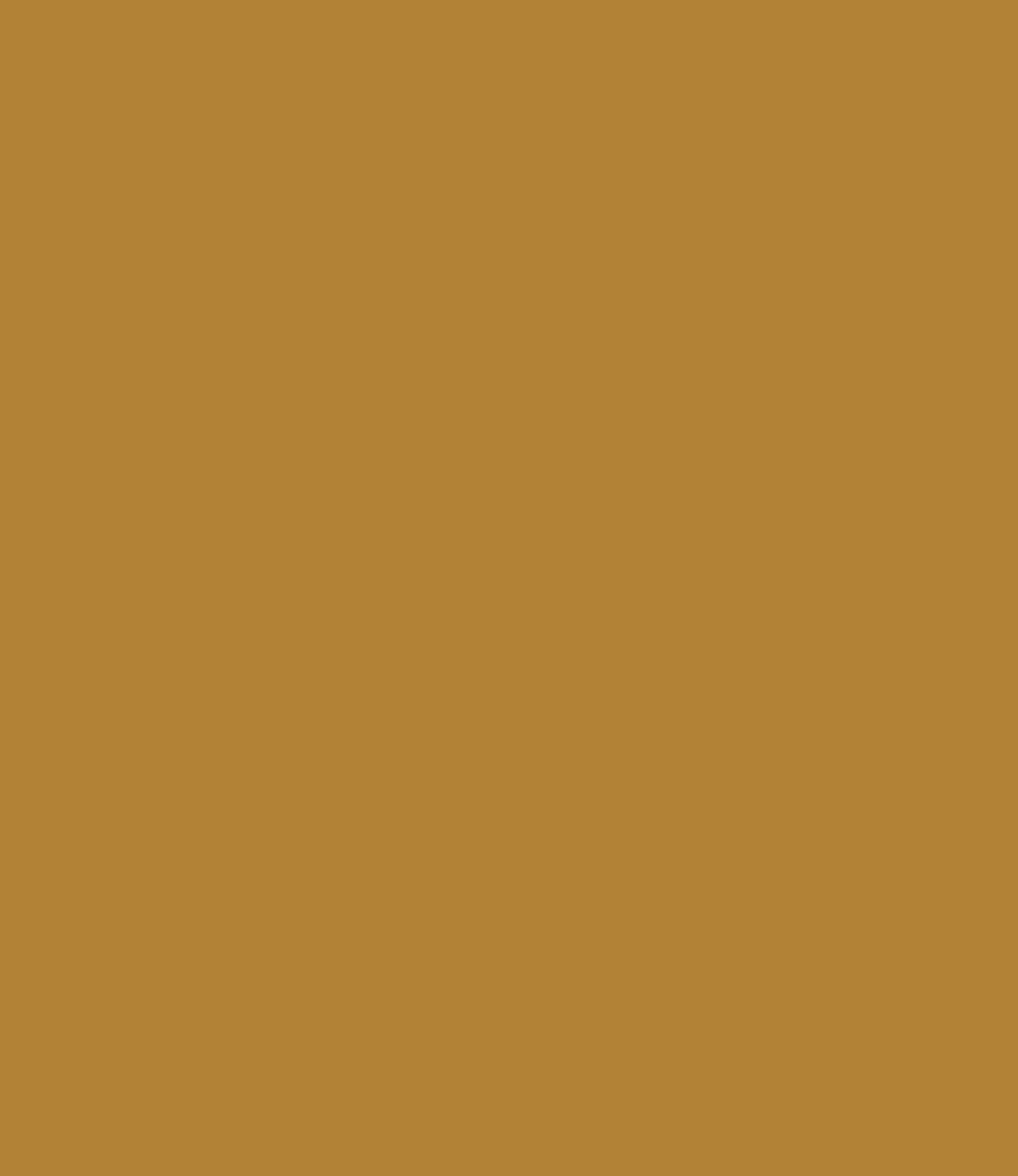 Carte Colori Calcare Kalkverf Toscane CC037 1 Liter