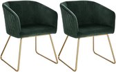 Rootz fluwelen eetkamerstoelen set van 2 - elegante stoelen - comfortabele zit - stevig en duurzaam - gouden metalen poten - antislip - eenvoudige montage - 76,5 cm hoogte - ondersteunt tot 120 kg