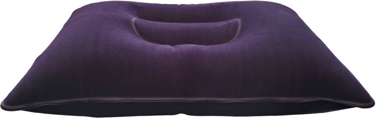 Bol.com Reiskussen extra groot (39 x 24 cm) - Kampeer Kussen – Strand Kussen - Festival kussen – Picknick Kussen - Vliegtuig Kus... aanbieding