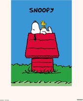 SNOOPY DOGHOUSE - Art Collector Print 30x40 cm