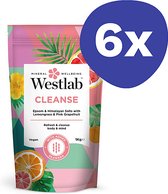Westlab Cleanse Badzout (6x 1kg)