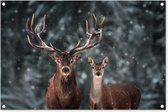 Posters de jardin extérieur Cerf - Animaux - Hiver - Bois - Neige - Nature - 90x60 cm - Toile jardin - Affiche extérieur