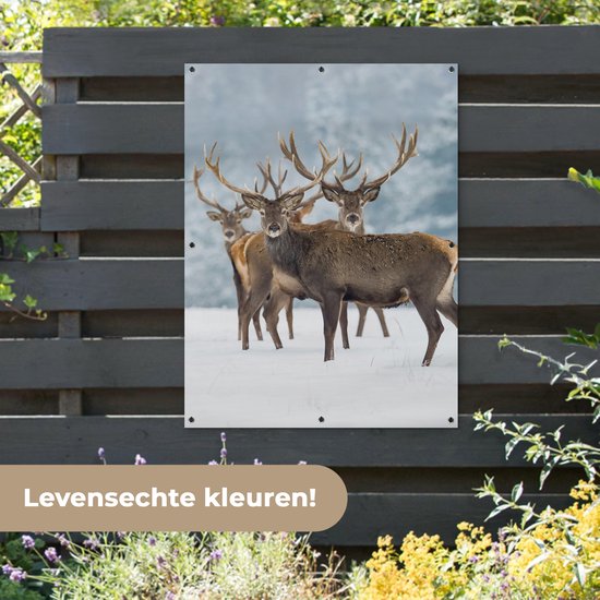 Affiche jardin - Toile jardin - Posters de jardin extérieur - Cerf - Animaux - Neige - Hiver - Paysage - Nature - 90x120 cm - Jardin