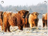 Tuin decoratie Schotse Hooglanders - Sneeuw - Bos - 40x30 cm - Tuindoek - Buitenposter